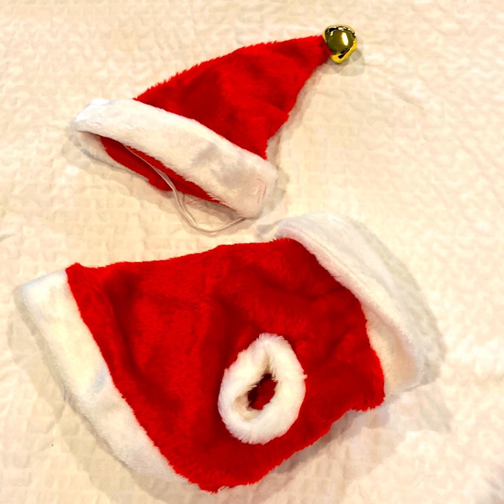 Santa dog costume